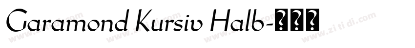 Garamond Kursiv Halb字体转换